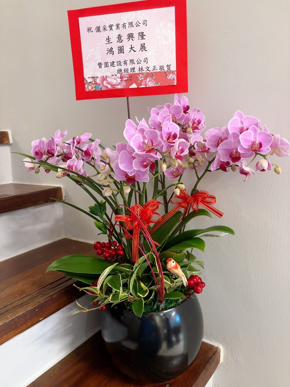 精緻組合蘭花