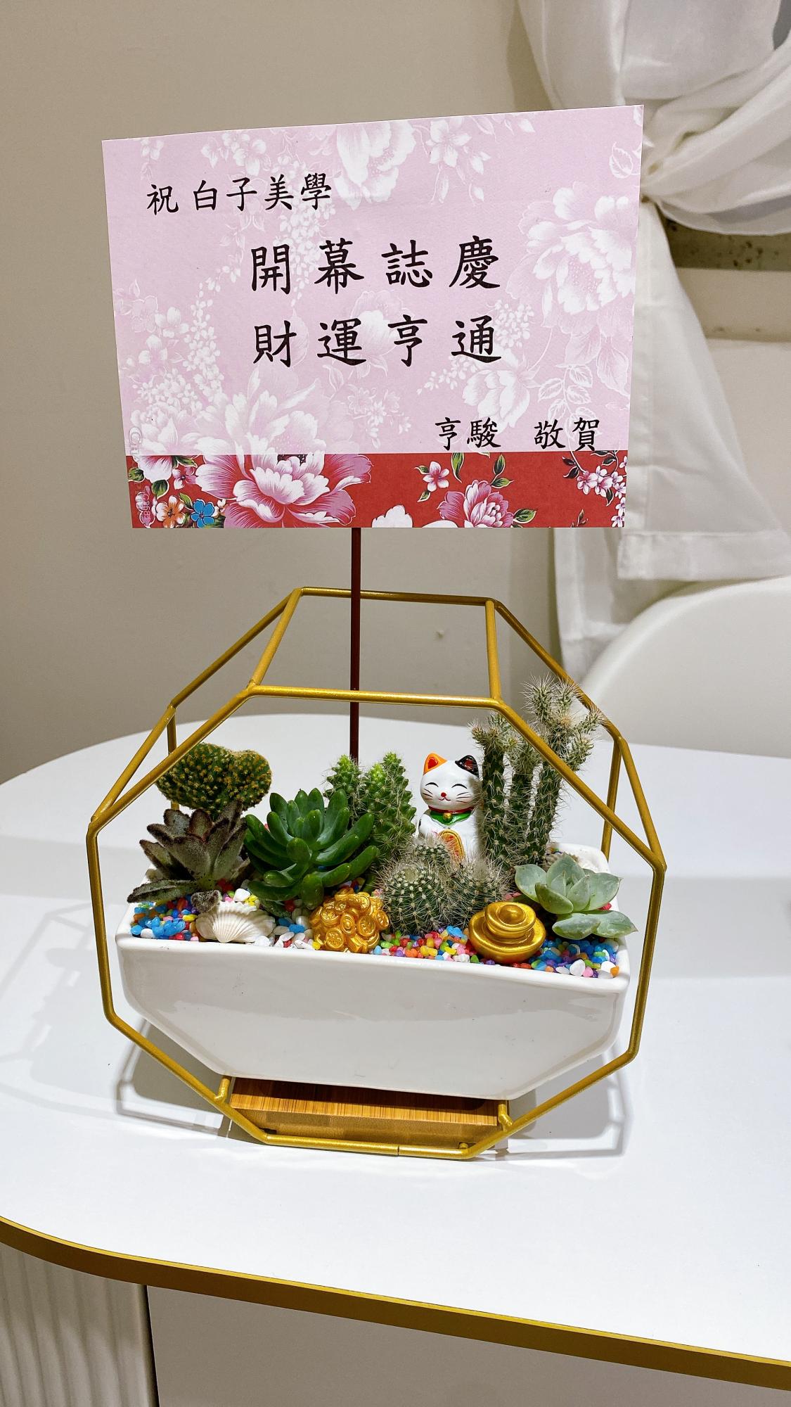 創意組合盆景