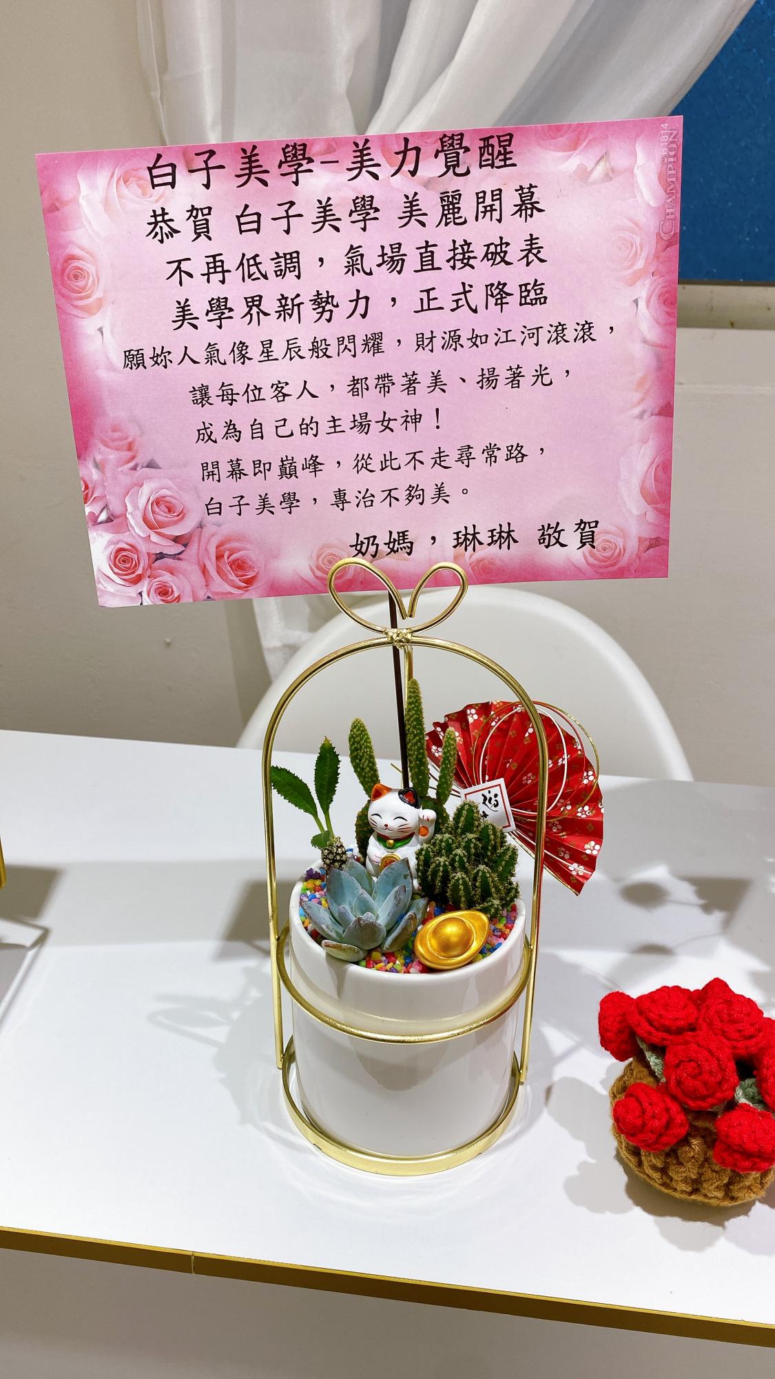 創意組合盆景