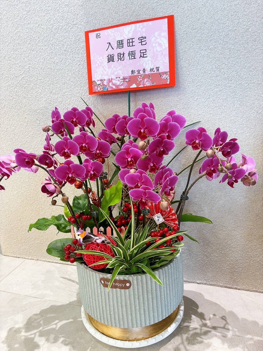 精緻紅色蝴蝶蘭
