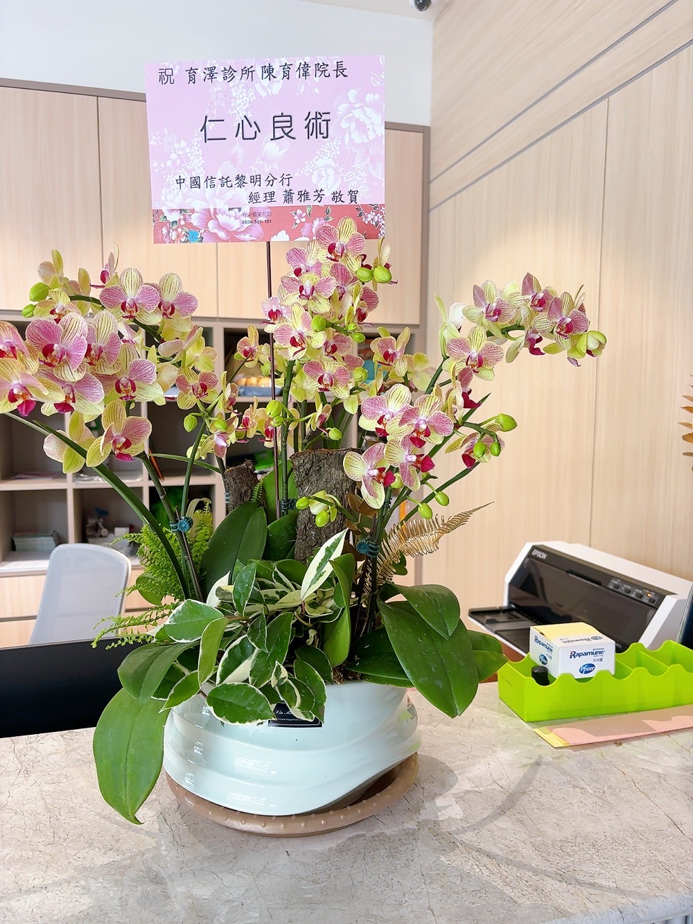 精緻蝴蝶蘭花