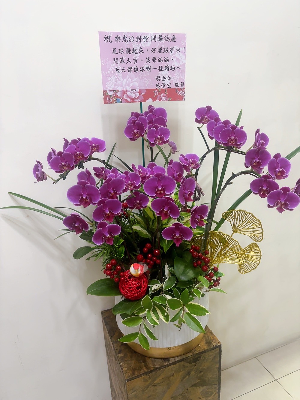 蝴蝶蘭花