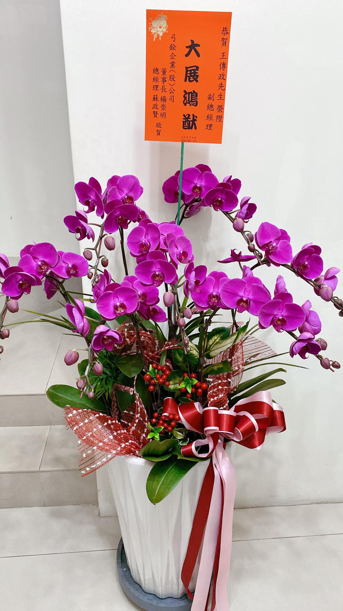 精緻組合蘭花