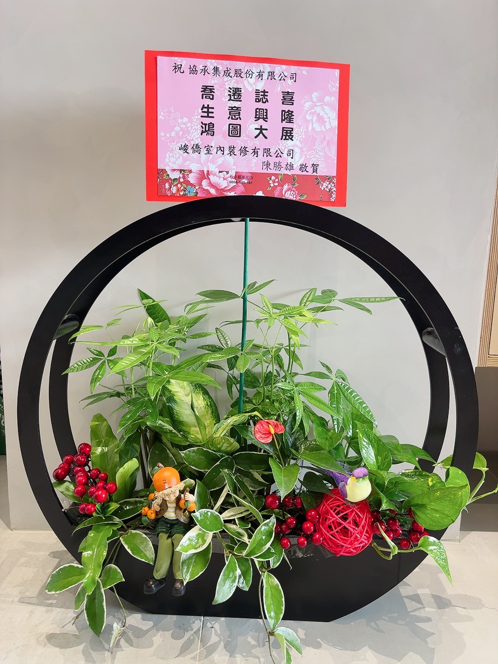 金錢樹盆景